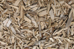 biomass boilers Trewindle